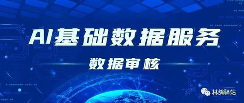 數(shù)據(jù)驅(qū)動(dòng)AI未來(lái) 以采集、標(biāo)注與審核為核心的AI基礎(chǔ)數(shù)據(jù)服務(wù)行業(yè)